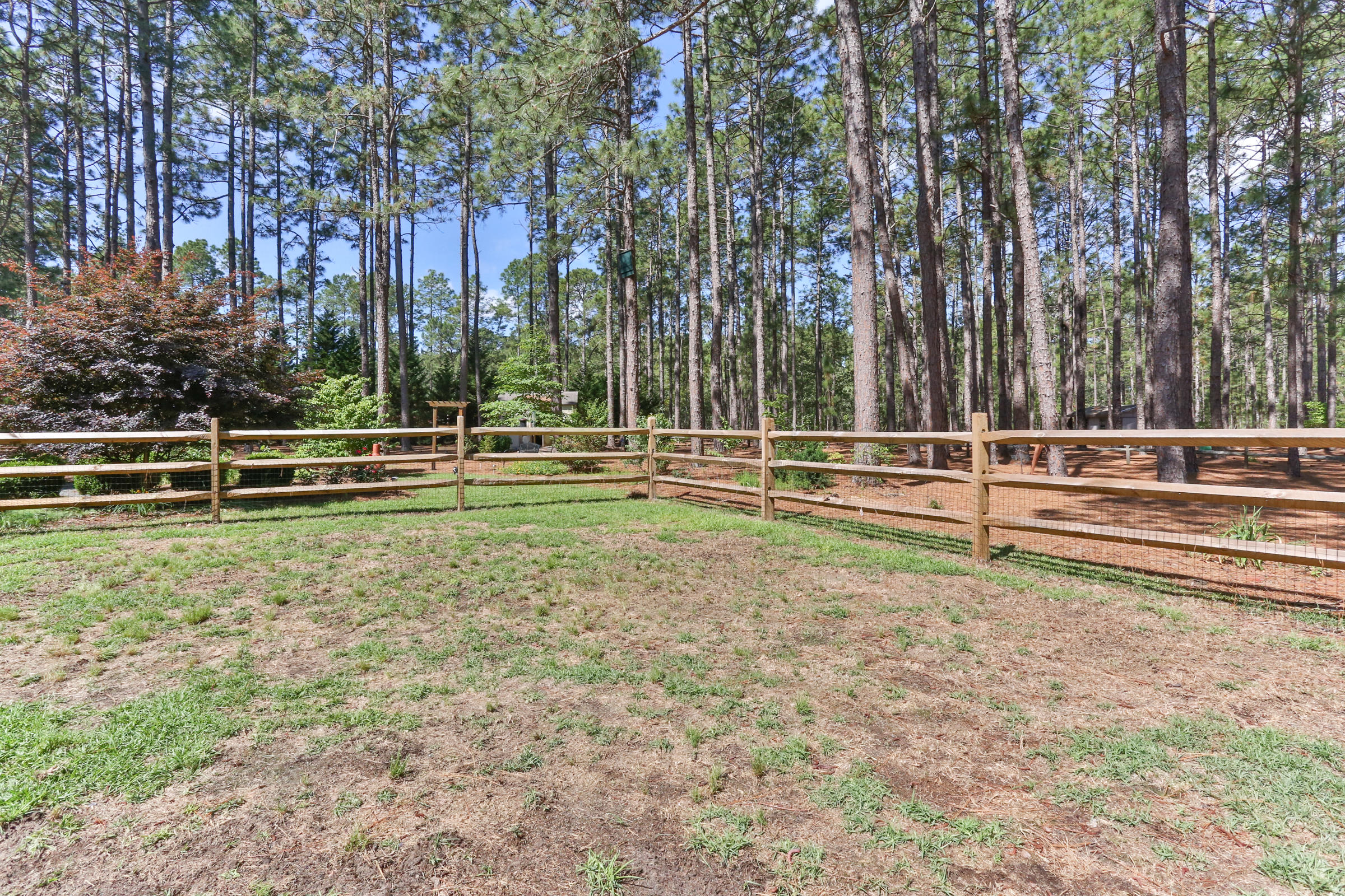 119 Grey Fox Run Rockingham, NC 28379 - Photo 41 of 57 2Z1A0732