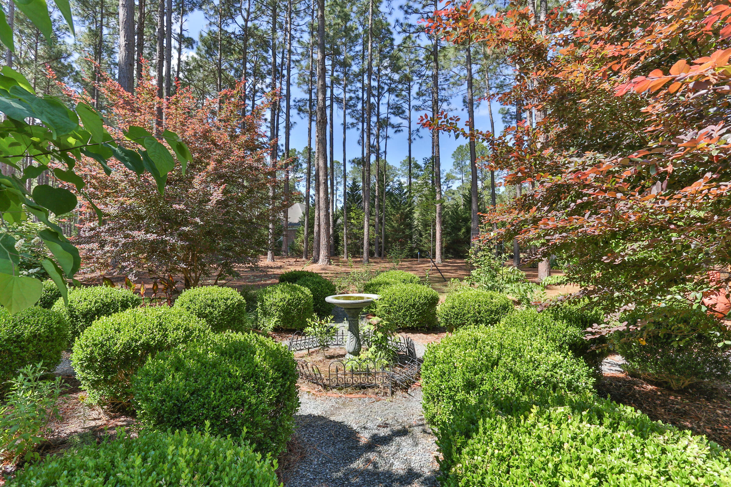 119 Grey Fox Run Rockingham, NC 28379 - Photo 43 of 57 2Z1A0744