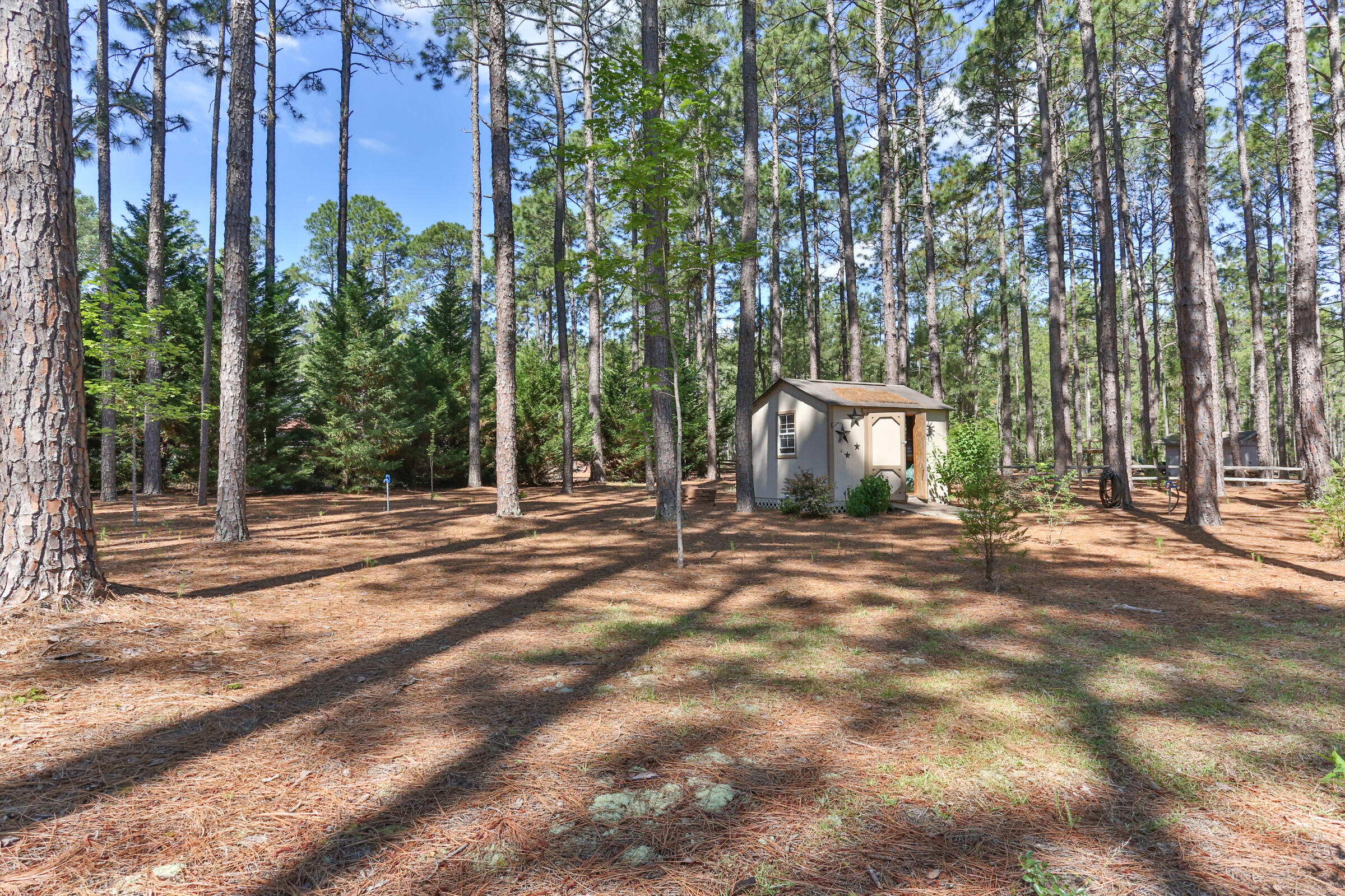 119 Grey Fox Run Rockingham, NC 28379 - Photo 45 of 57 2Z1A0752