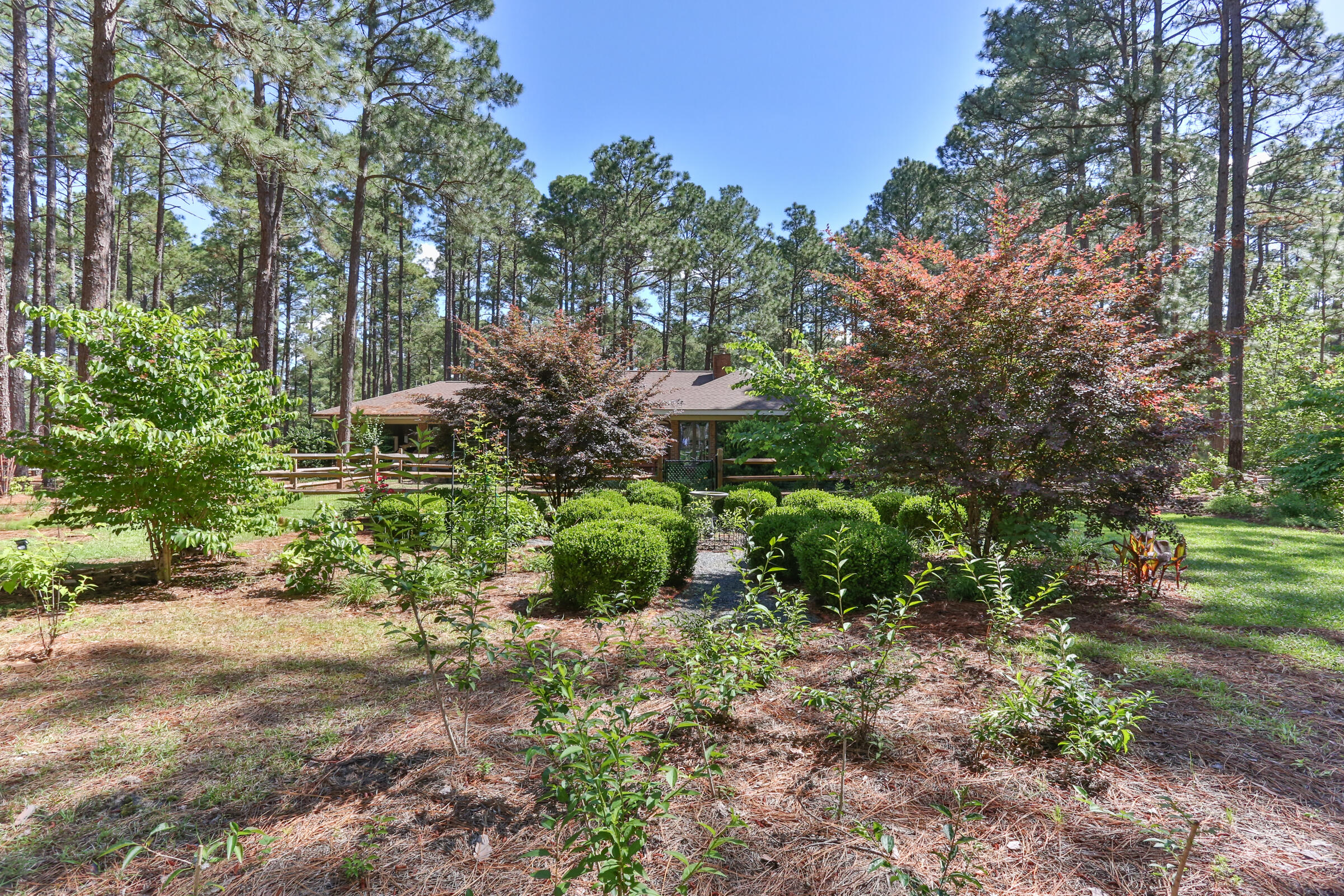 119 Grey Fox Run Rockingham, NC 28379 - Photo 46 of 57 2Z1A0756