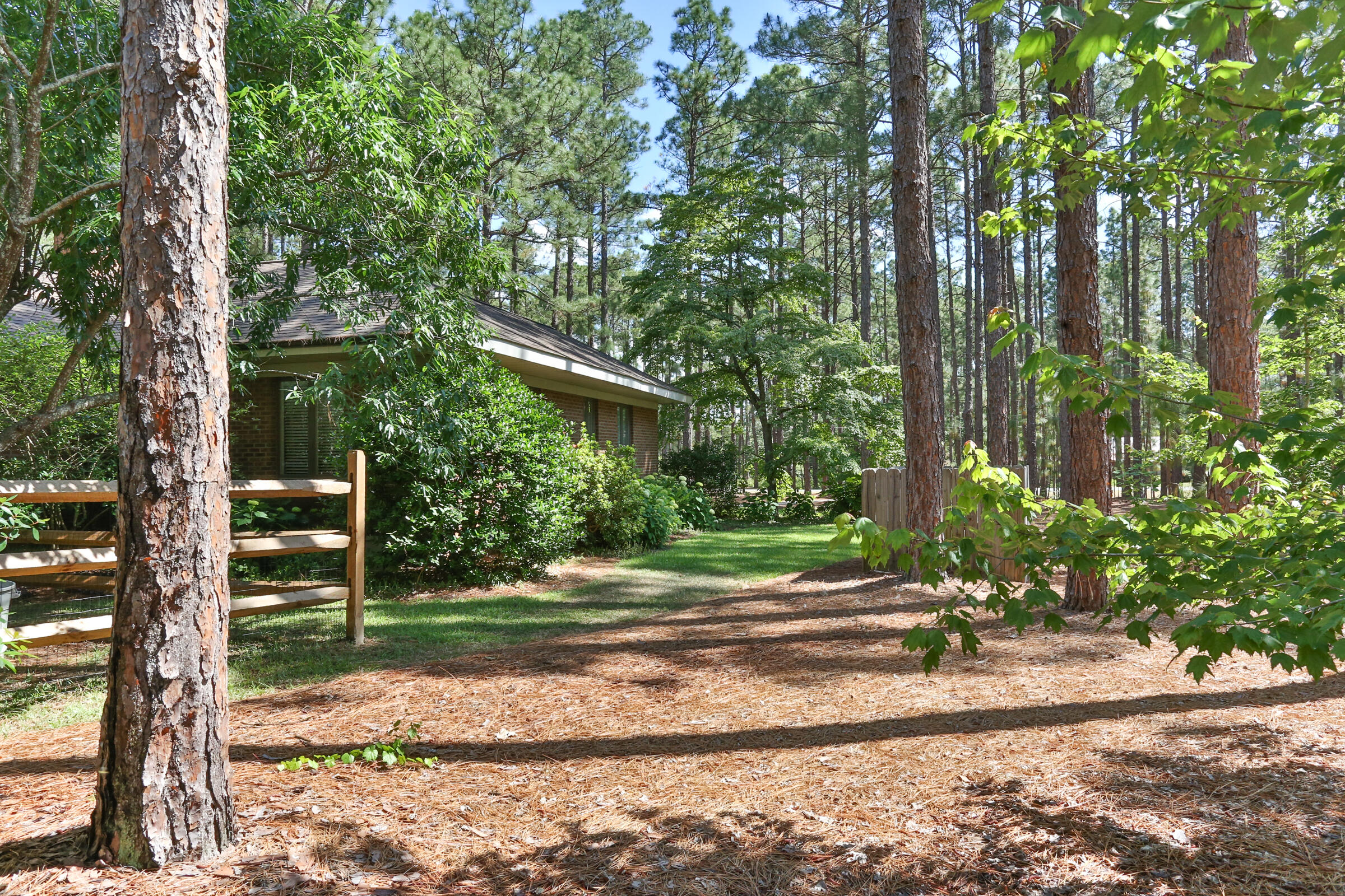 119 Grey Fox Run Rockingham, NC 28379 - Photo 49 of 57 2Z1A0768