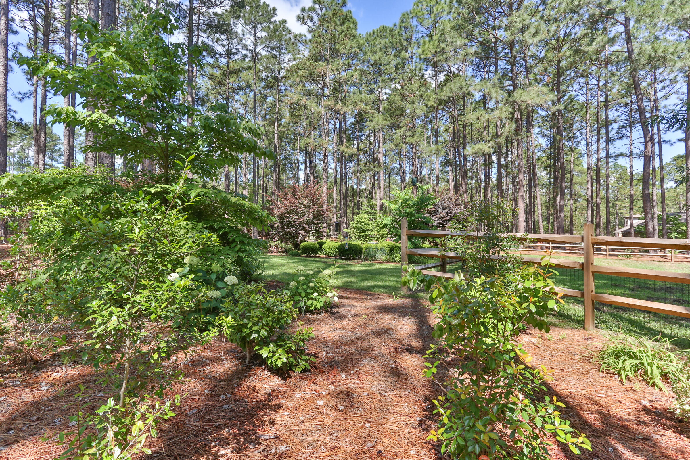 119 Grey Fox Run Rockingham, NC 28379 - Photo 50 of 57 2Z1A0772