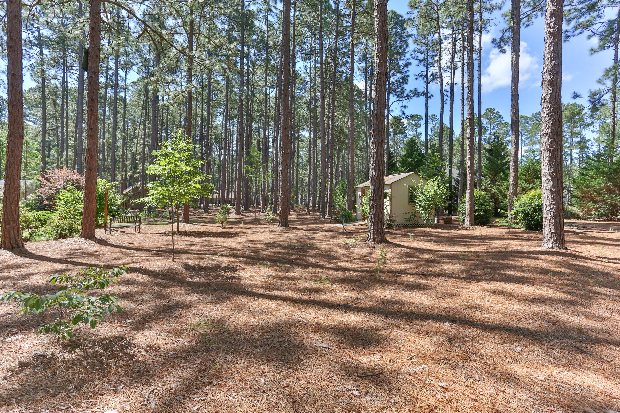 119 Grey Fox Run Rockingham, NC 28379 - Photo 54 of 57 2Z1A0788