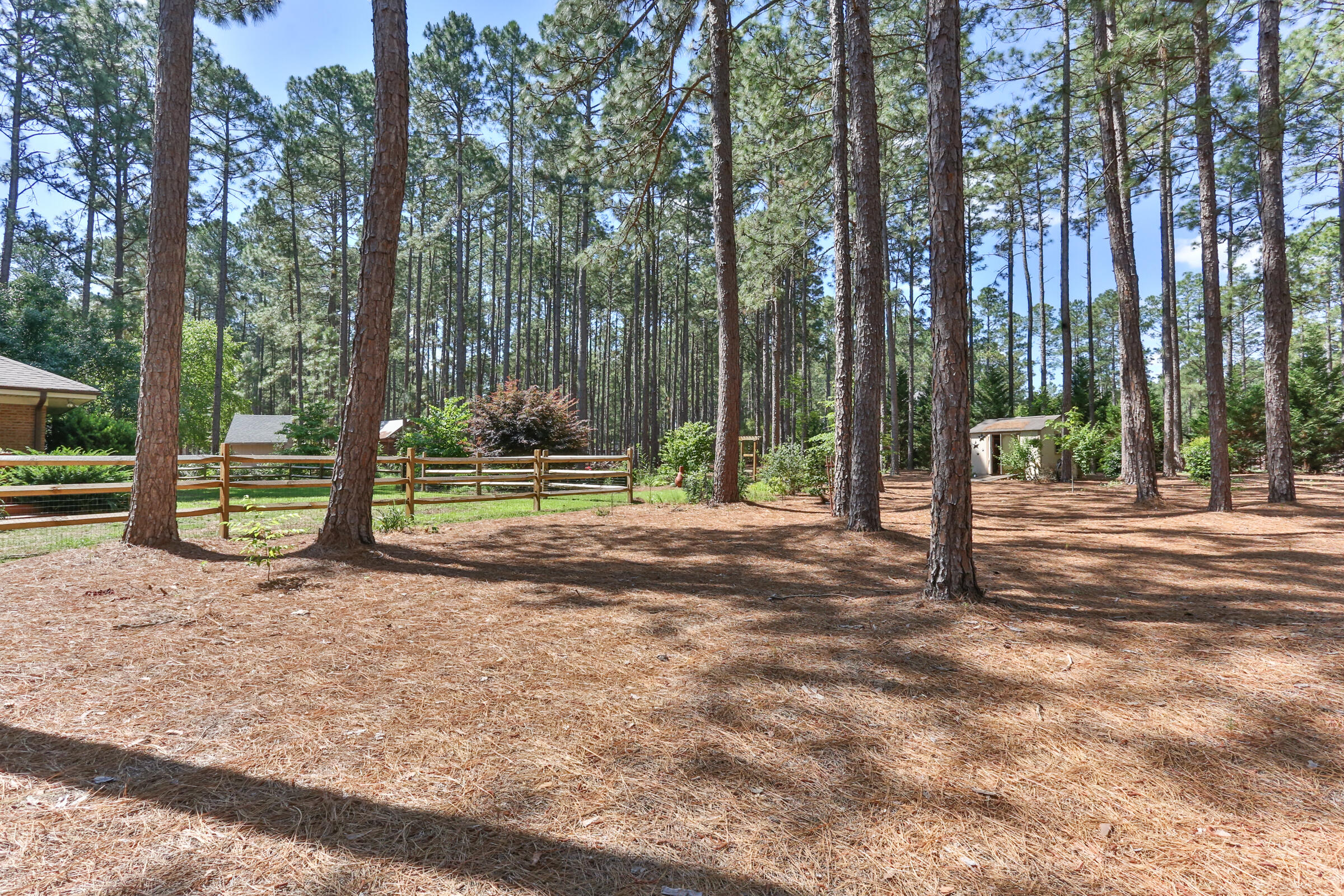 119 Grey Fox Run Rockingham, NC 28379 - Photo 56 of 57 2Z1A0796