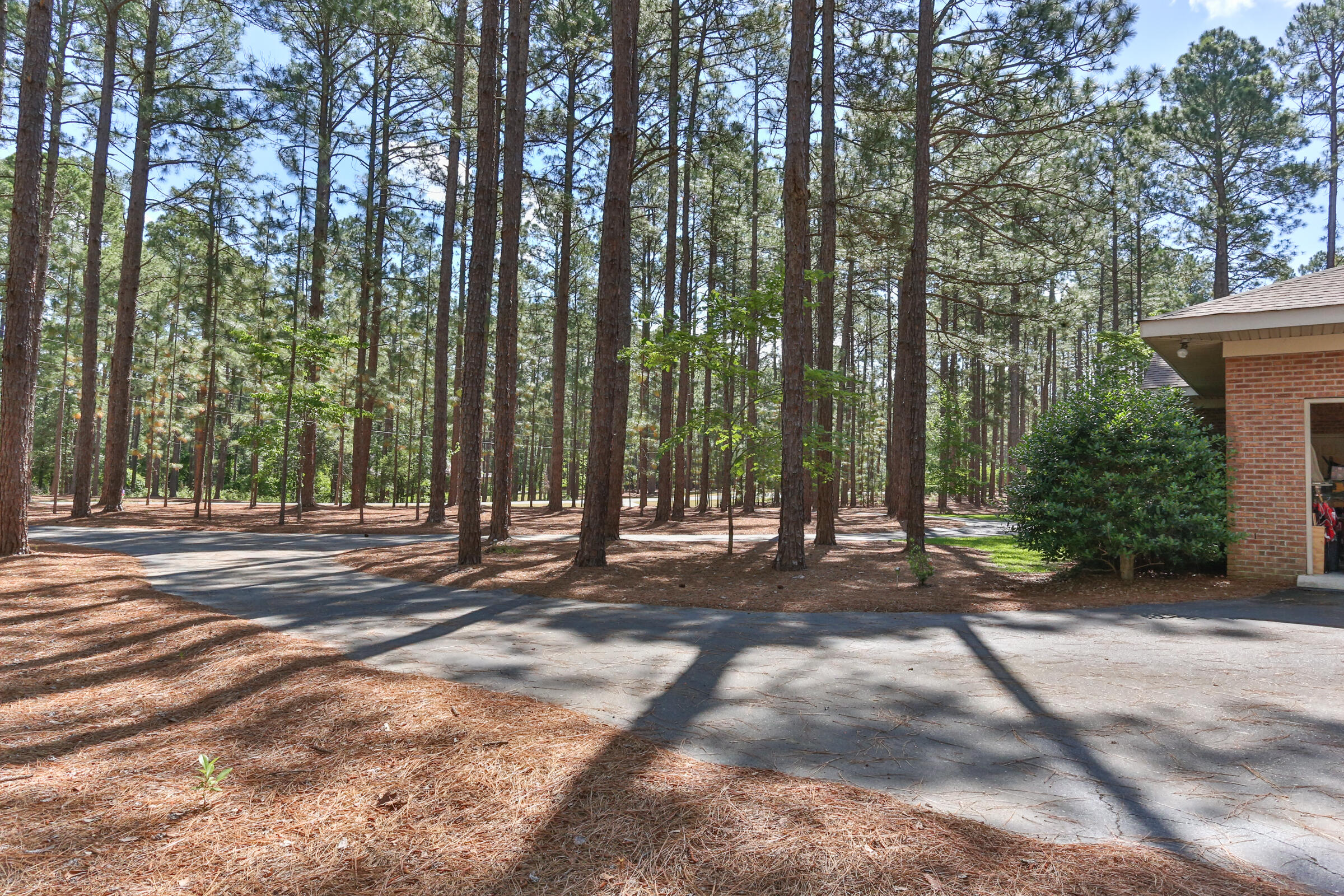 119 Grey Fox Run Rockingham, NC 28379 - Photo 57 of 57 2Z1A0800