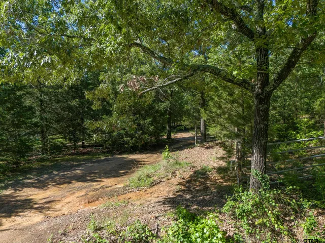 a view of a yard with plants and trees