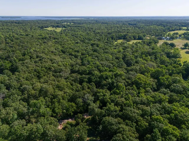 a view of a green field with lots of bushes