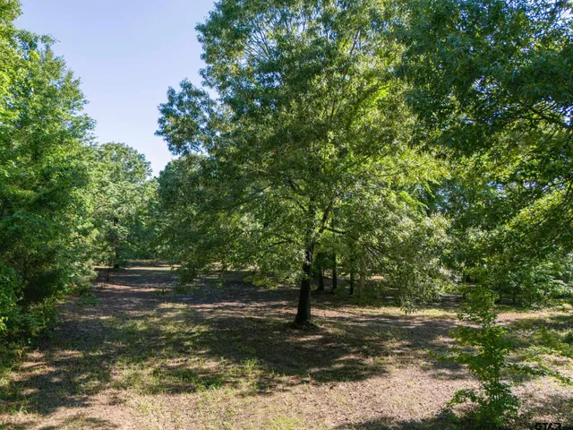 a view of a yard with plants and trees