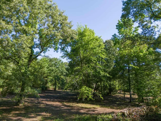 a view of backyard with green space