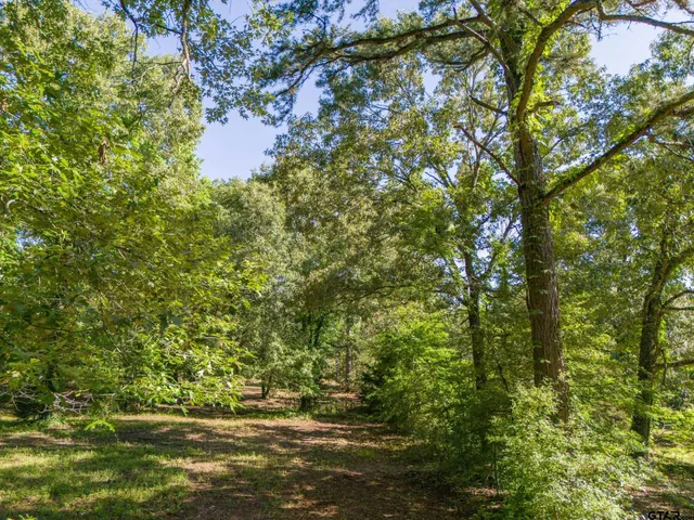 a view of lake from window