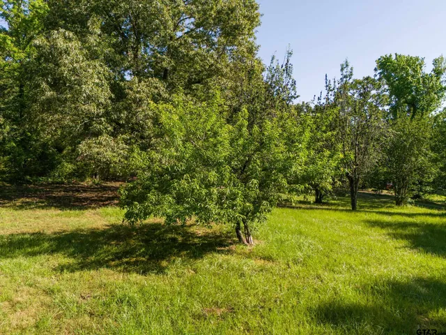 a view of a yard with a tree