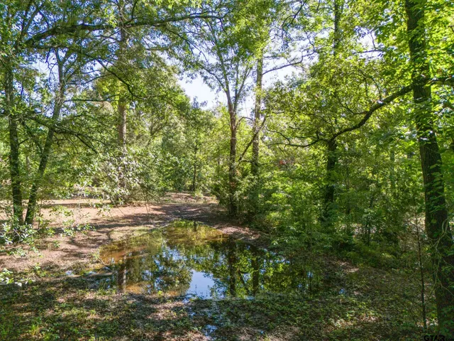 a view of a yard with plants and trees