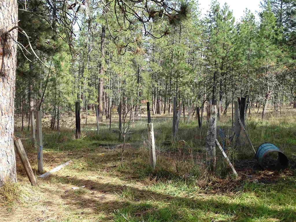 14215 East Bridges Road Elk, WA 99009 - Photo 29 of 30
