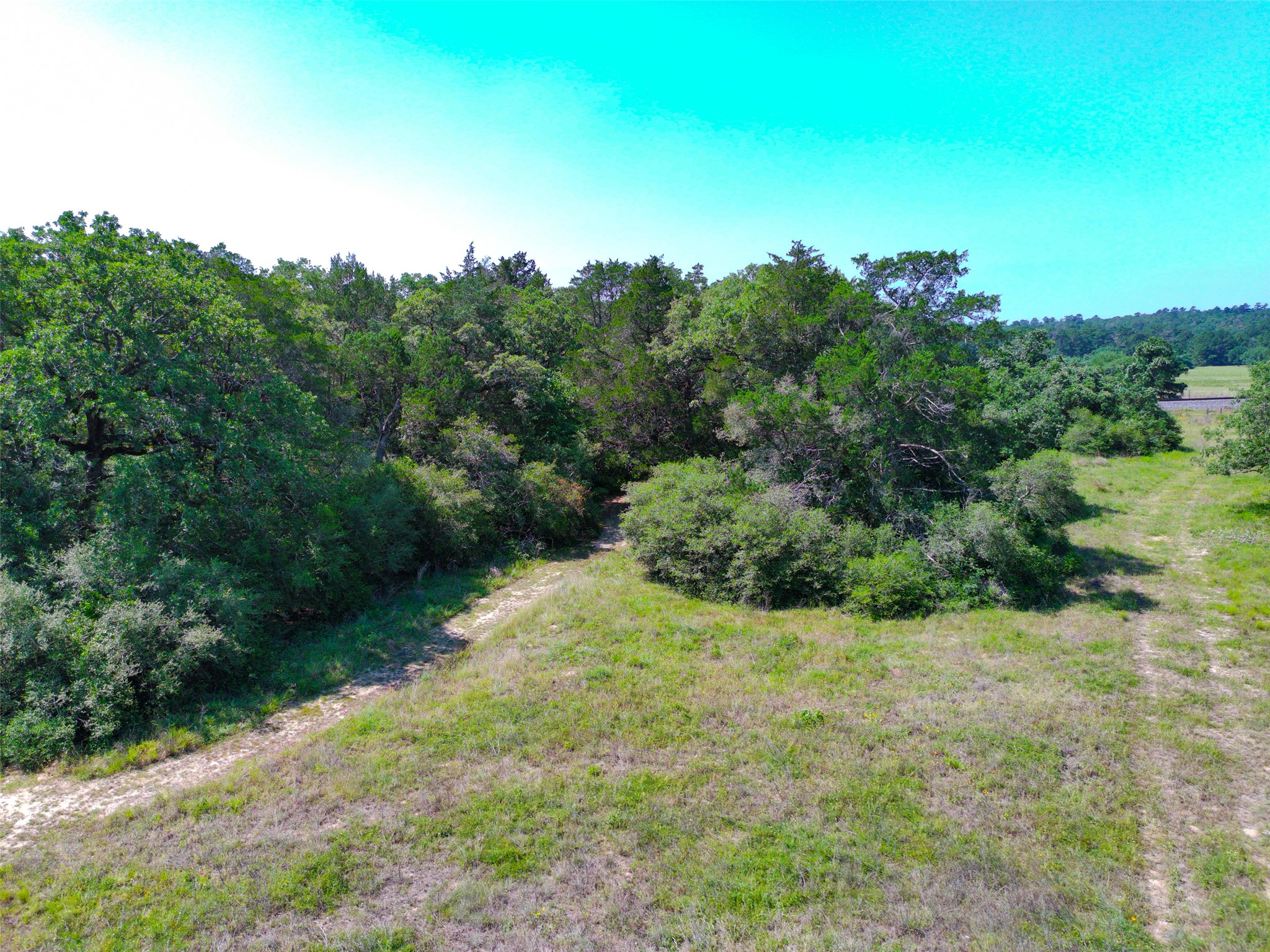 277 Meuth Cemetery Road Red Rock, TX 78662 - Photo 14 of 19 Vast, open lot offers serene natural views and an ideal canvas for a custom residence.