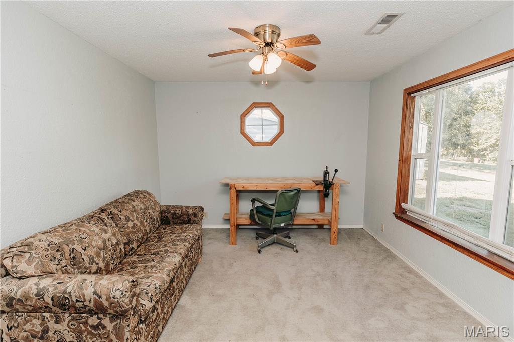 10209 Circle Road Dixon, MO 65459 - Photo 8 of 69