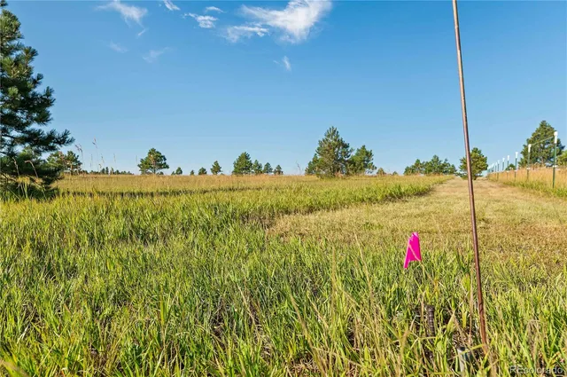 a view of a swimming pool and an ocean