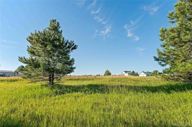 a view of a lake with a yard