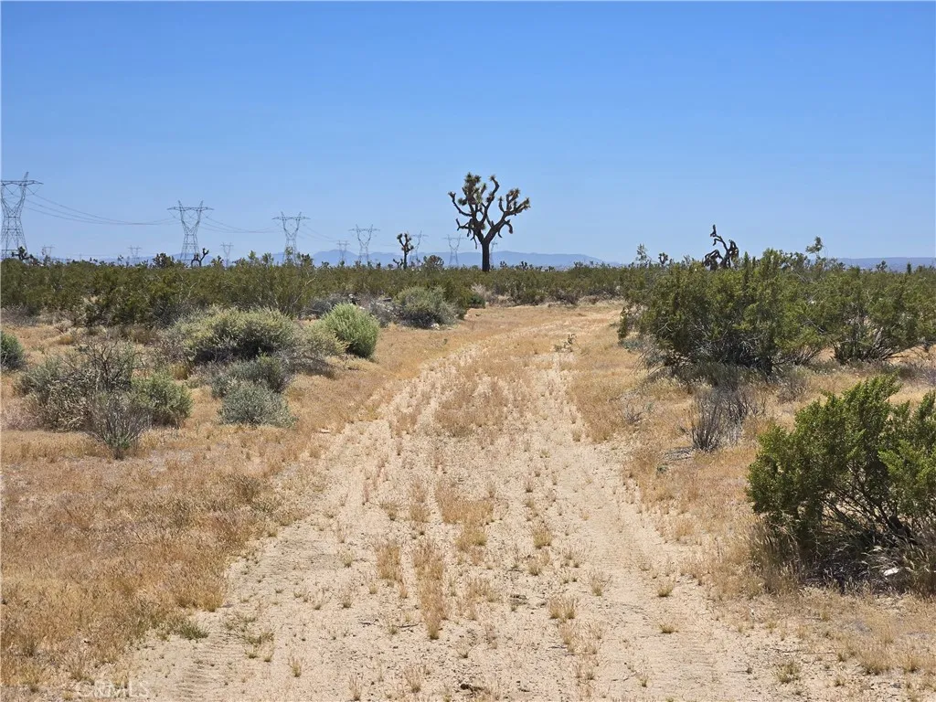 10 Beaver Road Adelanto, CA 92301 - Photo 4 of 7 a view of a dry field