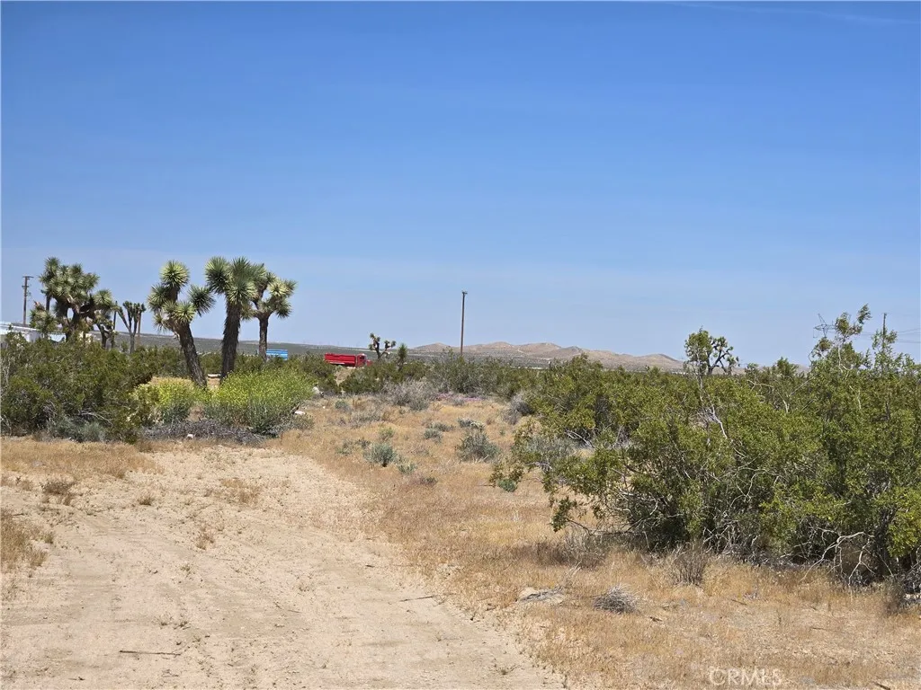 10 Beaver Road Adelanto, CA 92301 - Photo 5 of 7 a view of a dry yard with trees