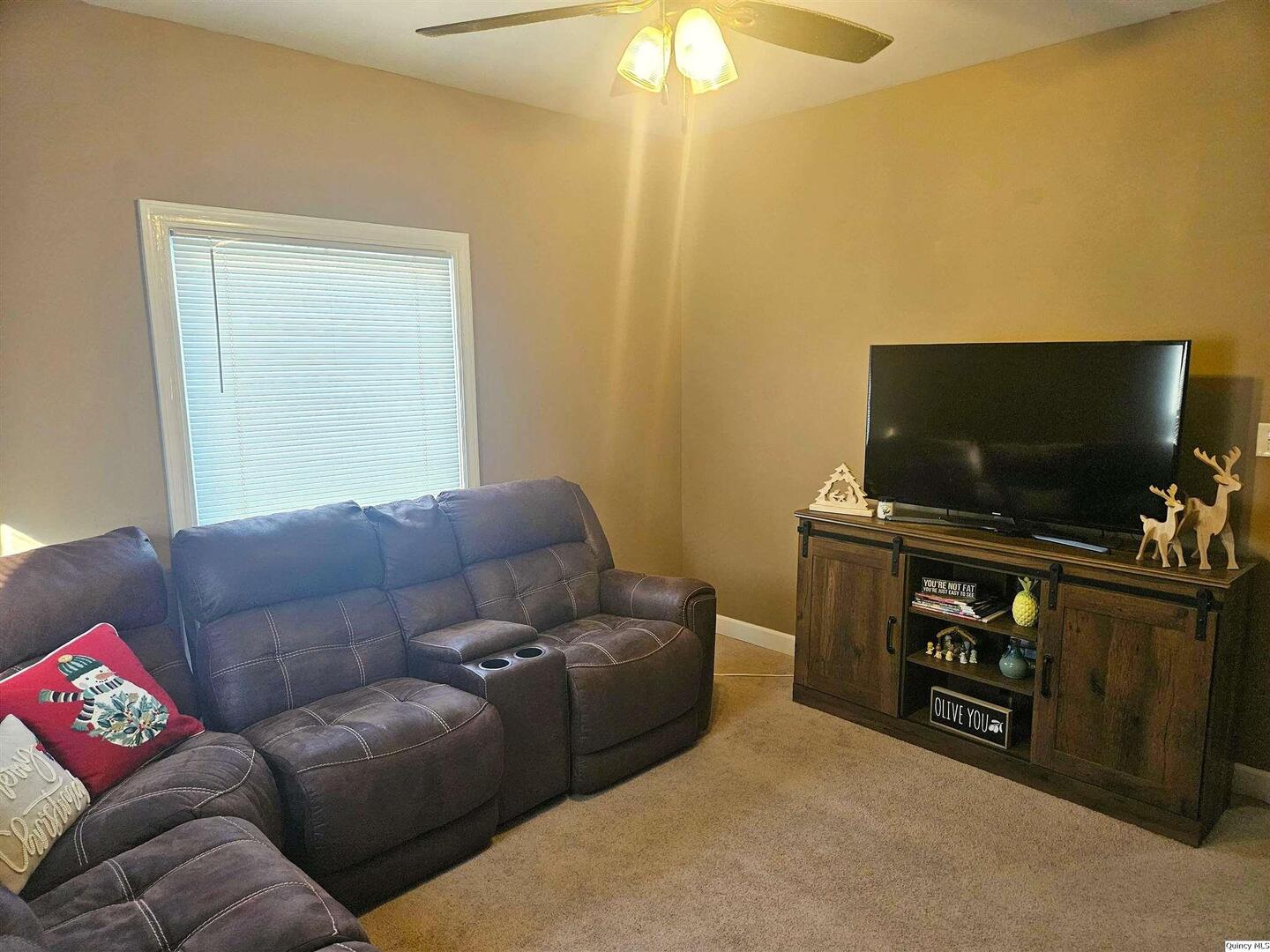 1520 Spruce Street Quincy, IL 62301 - Photo 5 of 21 a living room with furniture and a flat screen tv