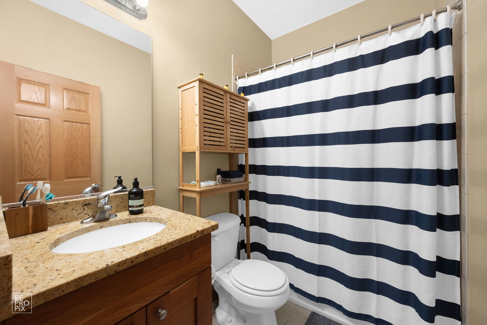 3301 South Michigan Avenue, Unit 3 Chicago, IL 60616 - Photo 9 of 11