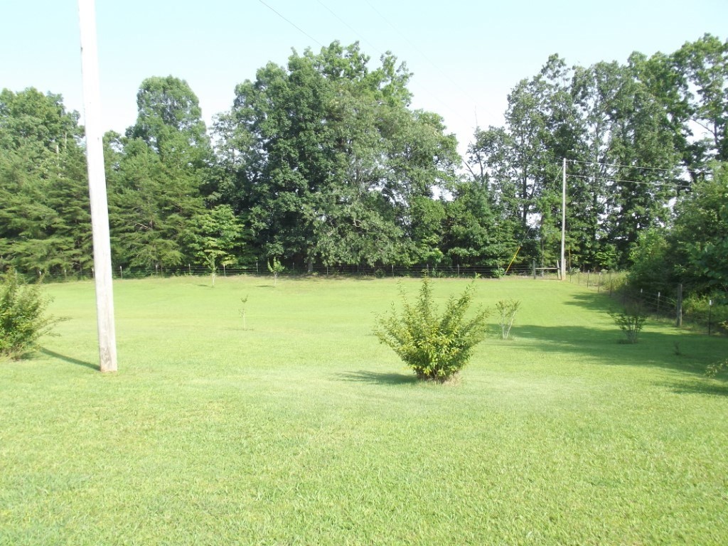 1368 Walt Reed Road Grandview, TN 37337 - Photo 57 of 66 Gallery Image 57
