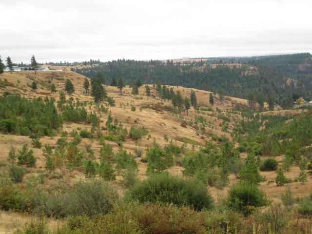 13607 West Wigwam Road Spokane, WA 99224 - Photo 2 of 9