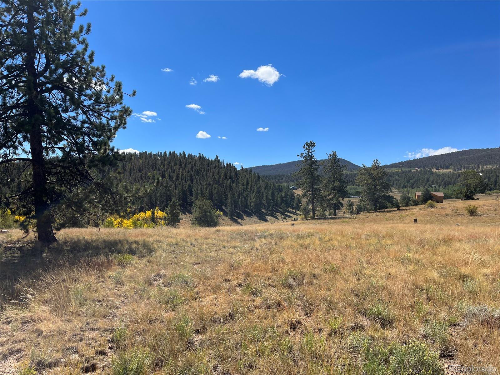 4706 Campfire Road Hartsel, CO 80449 - Photo 25 of 37 a view of a yard