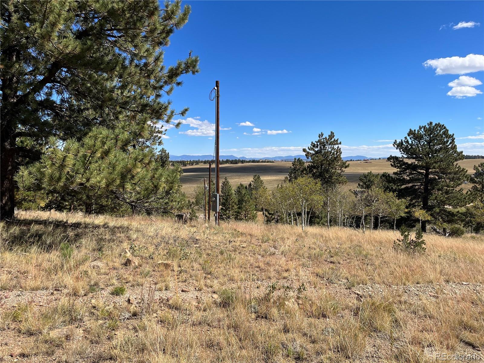 4706 Campfire Road Hartsel, CO 80449 - Photo 34 of 37 a view of a yard