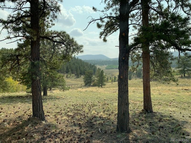 4706 Campfire Road Hartsel, CO 80449 - Photo 35 of 37 a view of a yard with wooden fence
