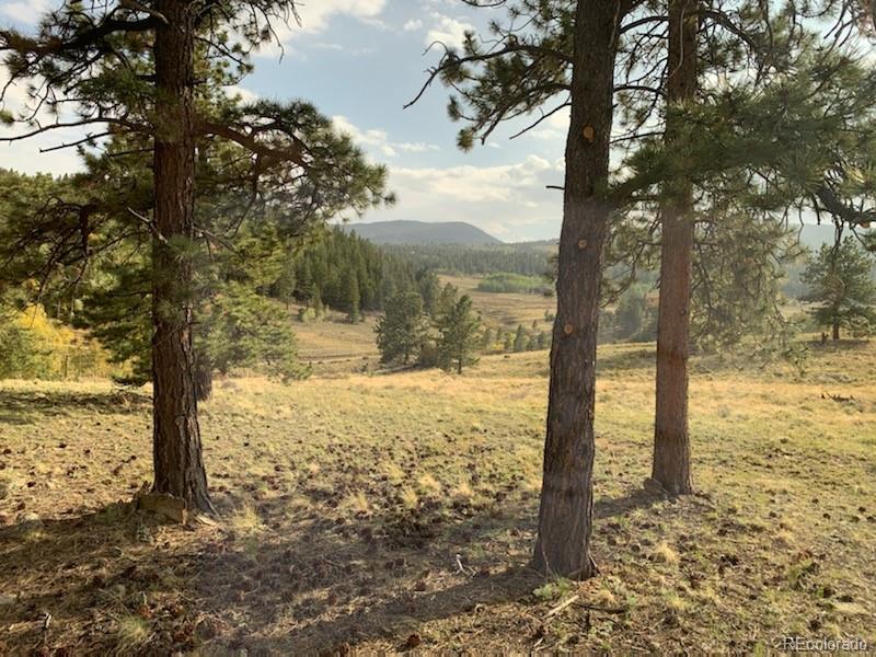 4706 Campfire Road Hartsel, CO 80449 - Photo 4 of 37 a view of ocean view