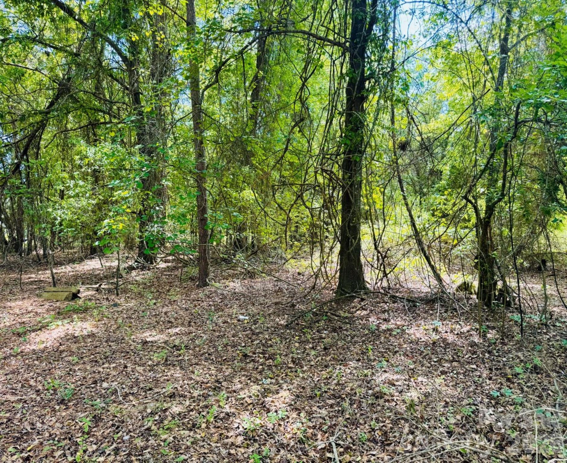 385 Elbert Baskins Road Cheraw, SC 29520 - Photo 8 of 11 Gallery Image 8