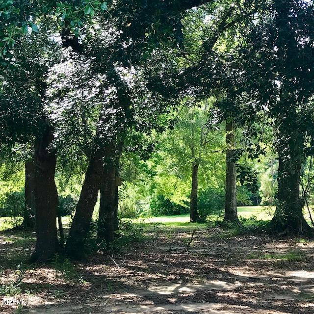 20706 Mennonite Road Gulfport, MS 39503 - Photo 39 of 55 Walking the Property