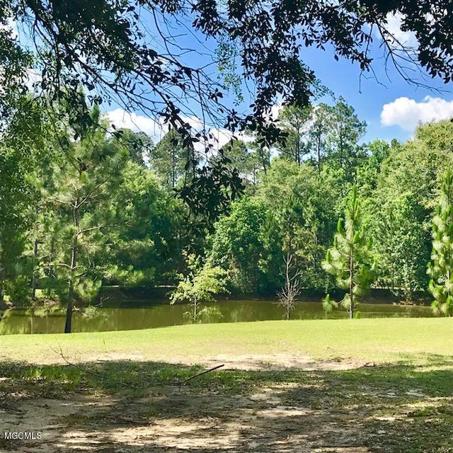 20706 Mennonite Road Gulfport, MS 39503 - Photo 40 of 55 View of Pond
