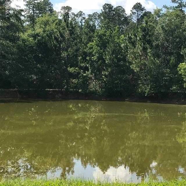 20706 Mennonite Road Gulfport, MS 39503 - Photo 42 of 55 Pond