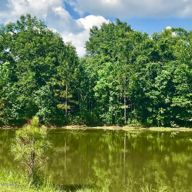 20706 Mennonite Road Gulfport, MS 39503 - Photo 44 of 55 Pond