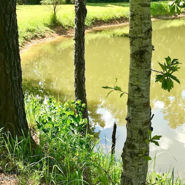 20706 Mennonite Road Gulfport, MS 39503 - Photo 45 of 55 Pond