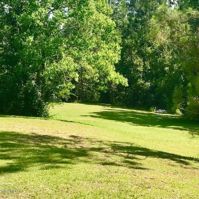 20706 Mennonite Road Gulfport, MS 39503 - Photo 47 of 55 Walking the Property
