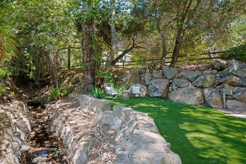 a view of a yard with plants and large trees