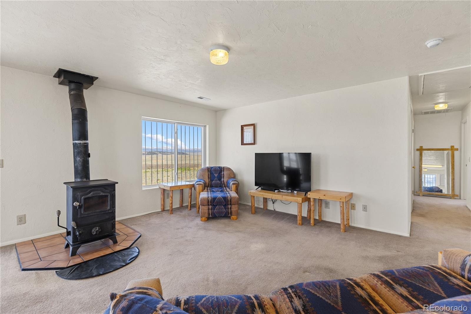 1421 Larimer Road Hartsel, CO 80449 - Photo 8 of 43