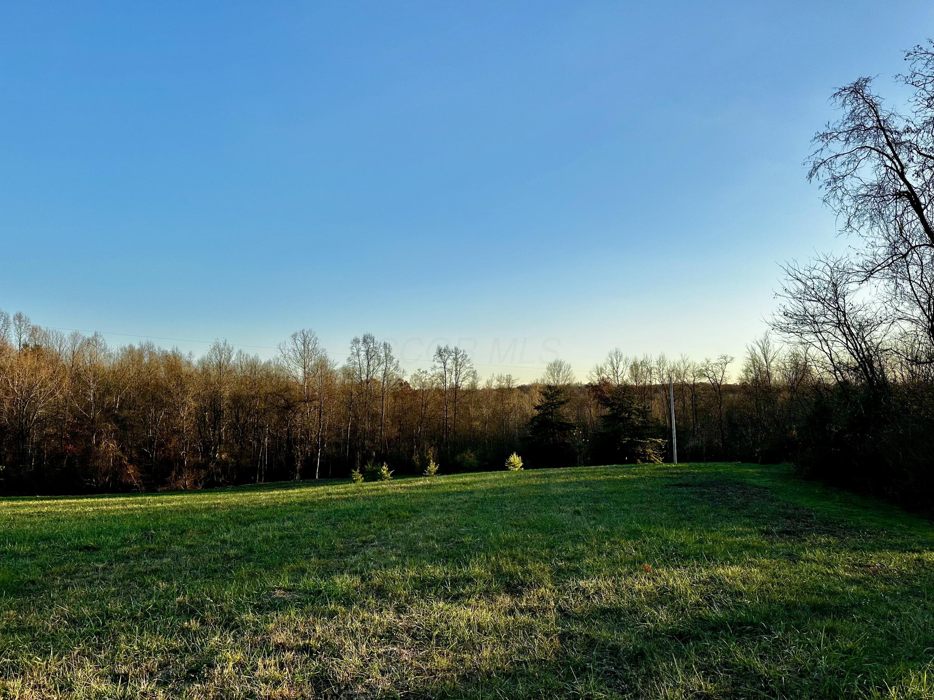 7374 Dutch Ridge Road, Unit TRACT 2 AT DUTCH RIDGE) New Straitsville, OH 43766 - Photo 11 of 31 20241111_214153793_iOS