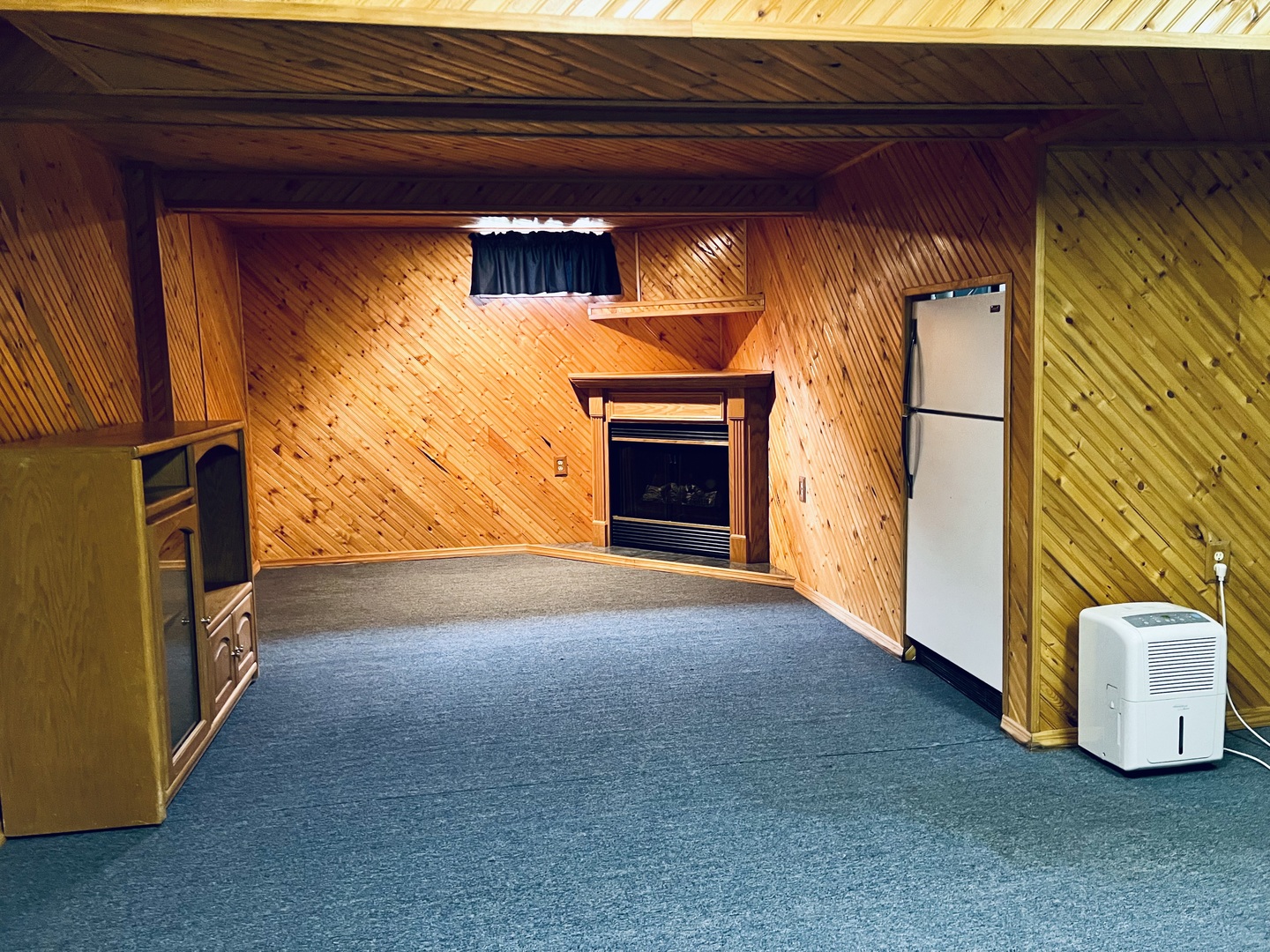316 Erickson Road Rochelle, IL 61068 - Photo 11 of 17 a view of empty room with a fireplace