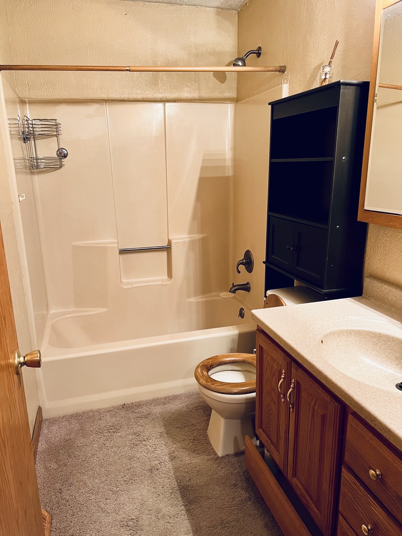 316 Erickson Road Rochelle, IL 61068 - Photo 9 of 17 a bathroom with a sink a toilet and bathtub