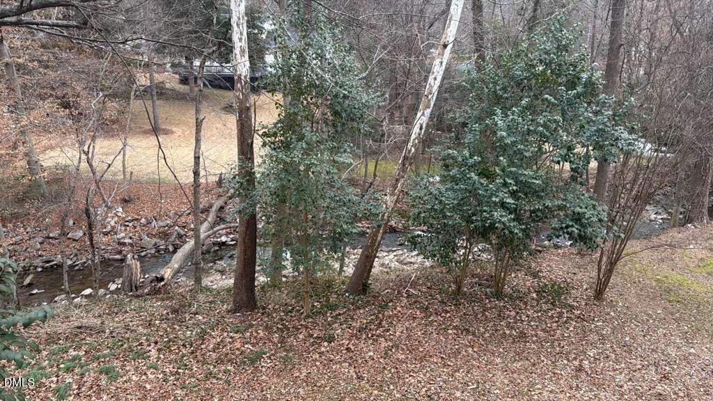 4212 Converse Drive Raleigh, NC 27609 - Photo 24 of 32 a view of forest