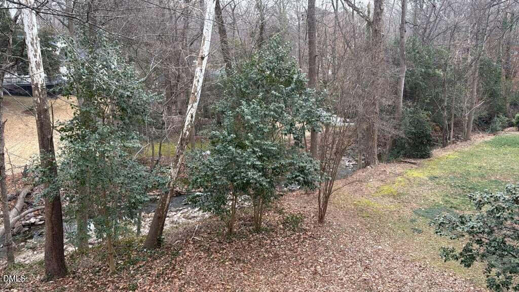 4212 Converse Drive Raleigh, NC 27609 - Photo 25 of 32 a view of a forest