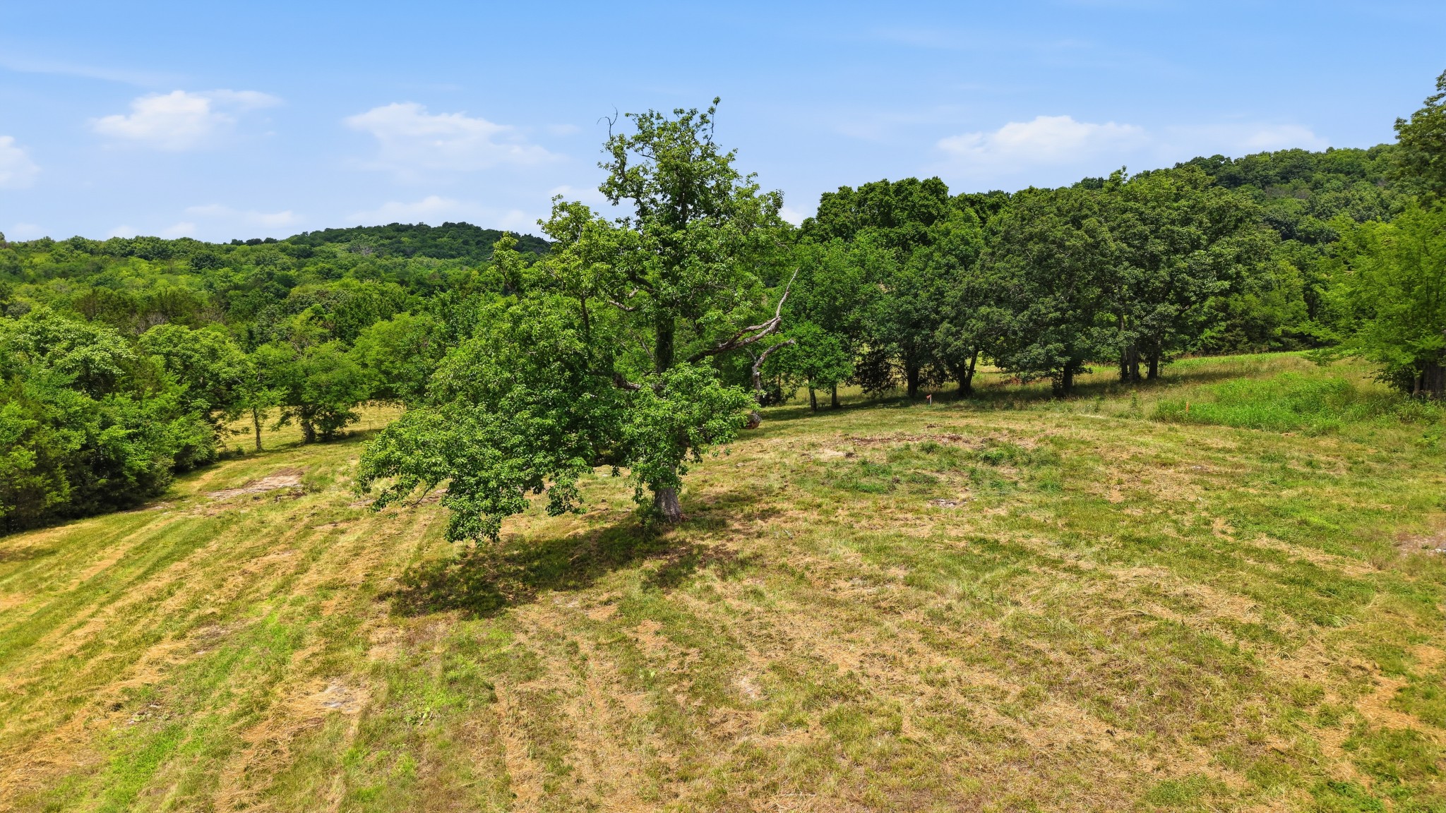 0 Pete Alsup Road Lascassas, TN 37085 - Photo 15 of 32