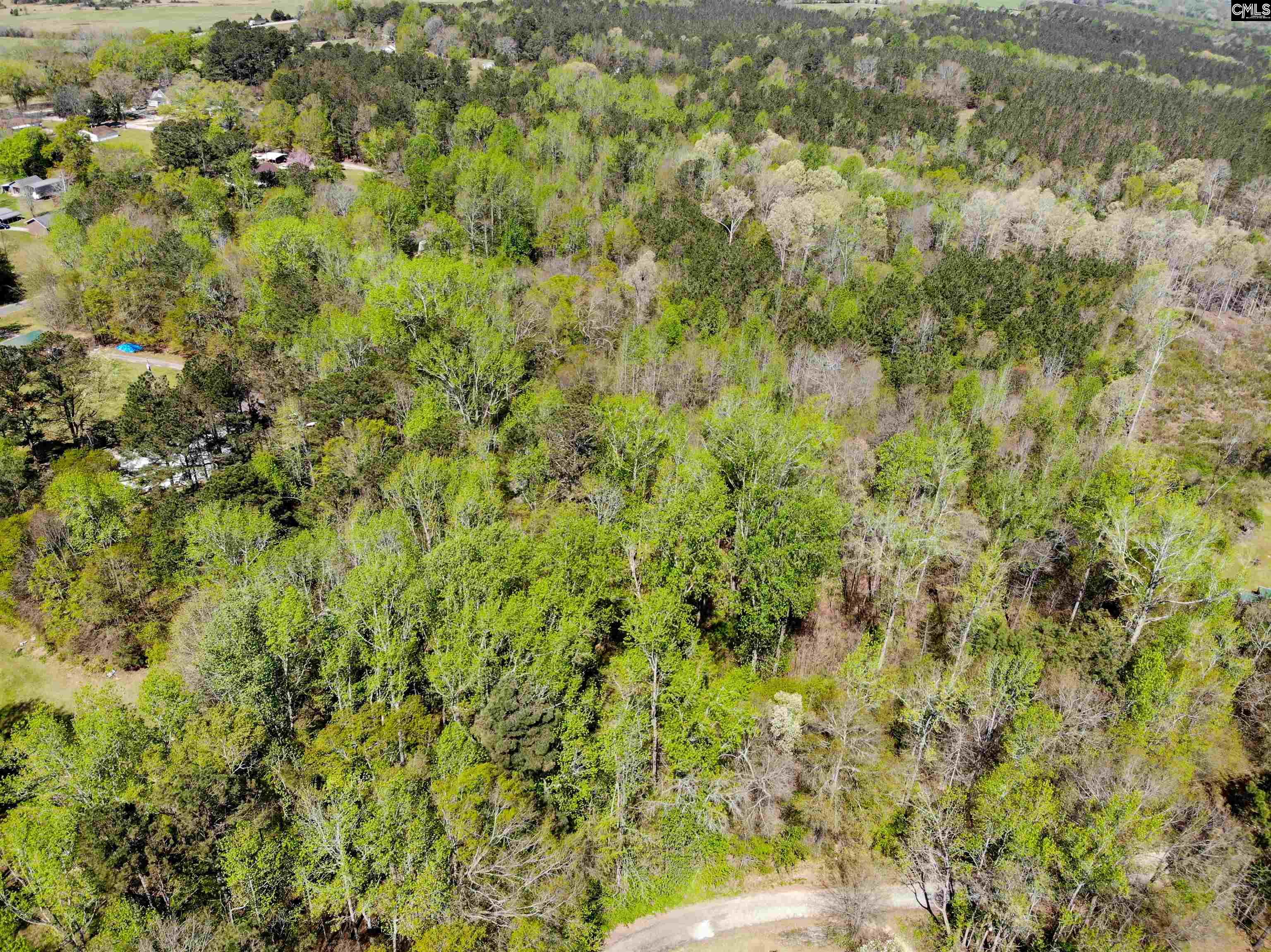Tbd James Road Joanna, SC 29351 - Photo 48 of 82