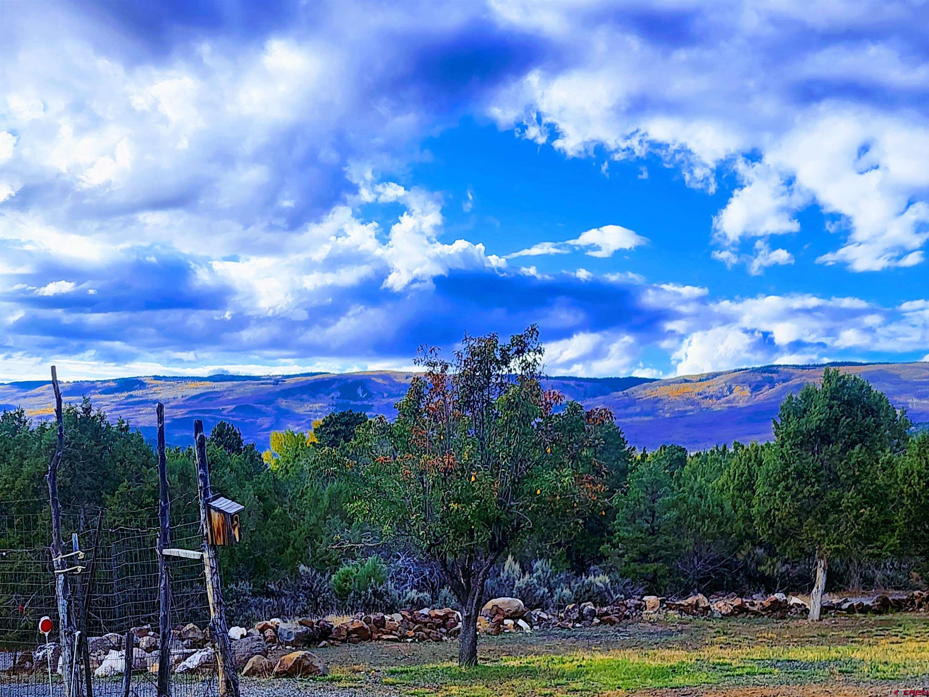24593 Timothy Road Cedaredge, CO 81413 - Photo 12 of 33 a view of a city