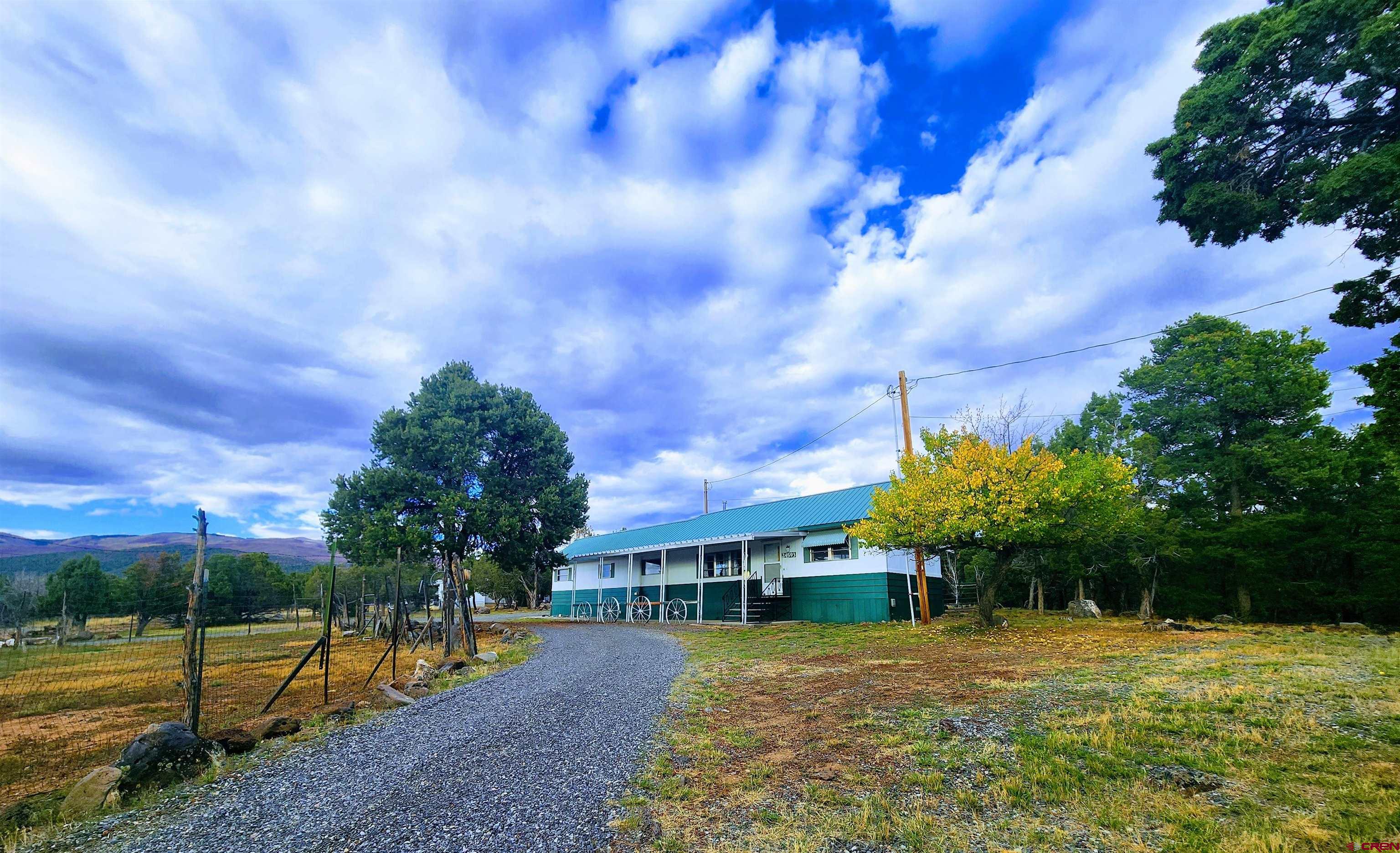 24593 Timothy Road Cedaredge, CO 81413 - Photo 2 of 33 a view of a house with a big yard and plants