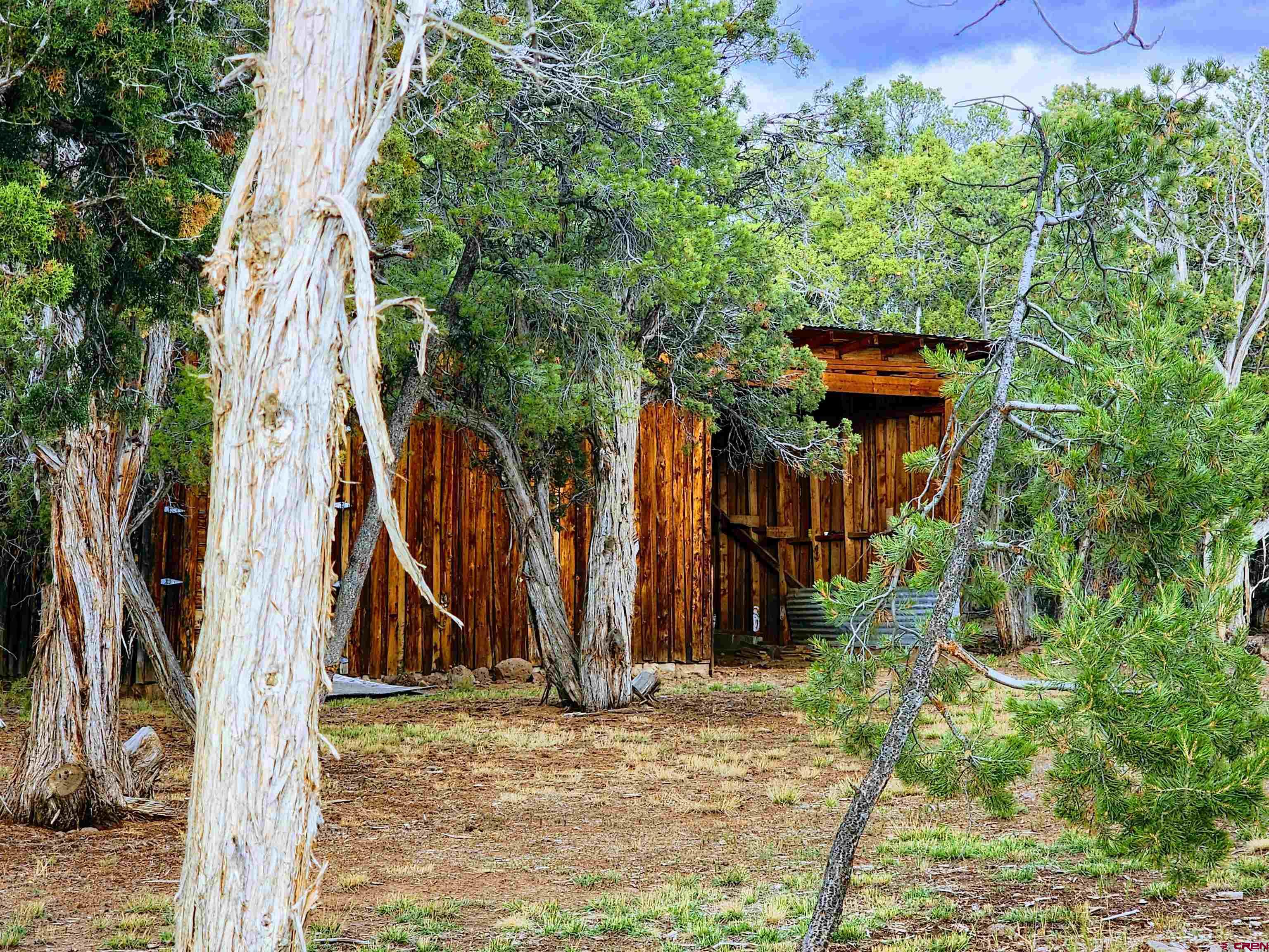 24593 Timothy Road Cedaredge, CO 81413 - Photo 33 of 33 a view of wooden house with a yard and plants